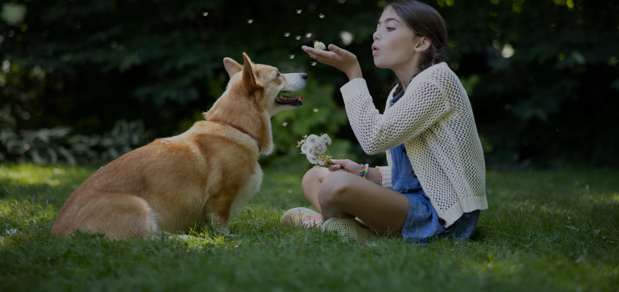 Zesty Paws -Zesty Paws 1