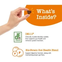 Zesty Paws Probiotic Bites Pumpkin Flavored Soft Chews Gut Flora & Digestive Supplement For Dogs -Zesty Paws 124697 PT2. AC SS1800 V1700681741