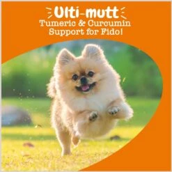 Zesty Paws Turmeric Curcumin Bites Duck Flavored Soft Chews Multivitamin For Dogs -Zesty Paws 124700 PT3. AC SS1800 V1696441014