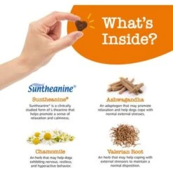 Zesty Paws Hemp Calming Bites Turkey Flavored Soft Chews Supplement For Dogs -Zesty Paws 132454 PT2. AC SS1800 V1703623867