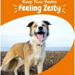 Zesty Paws Multivitamin 8-in-1 Bites Chicken Flavored Soft Chews Supplement For Dogs -Zesty Paws 132461 PT4. AC SS1800 V1703091206