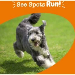 Zesty Paws Stay Green Bites Chicken Flavored Soft Chews Digestive Supplement For Dogs -Zesty Paws 141488 PT3. AC SS1800 V1700681900