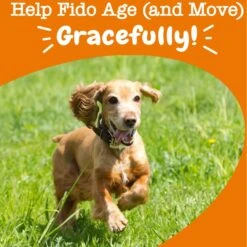 Zesty Paws Advanced Mobility Bites Chicken Flavored Soft Chews Glucosamine Hip & Joint Supplement For Senior Dogs -Zesty Paws 141492 PT4. AC SS1800 V1703623564