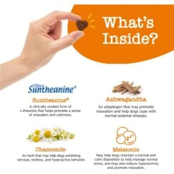 Zesty Paws Advanced Hemp Melatonin Calming Bites Turkey Flavored Soft Chews Composure Supplement For Dogs -Zesty Paws 144154 PT2. AC SS1800 V1699634713