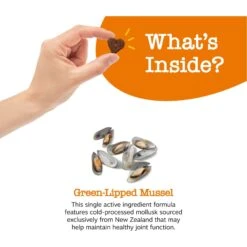 Zesty Paws Mussel Mobility Bites Chicken Flavored Soft Chews Hip & Joint Supplement For Dogs -Zesty Paws 147730 PT2. AC SS1800 V1698416896