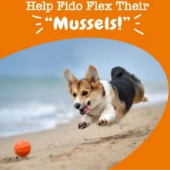 Zesty Paws Mussel Mobility Bites Chicken Flavored Soft Chews Hip & Joint Supplement For Dogs -Zesty Paws 147730 PT6. AC SS1800 V1698438291