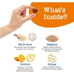 Zesty Paws Senior Advanced 11-in-1 Bites Chicken Flavored Soft Chews Multivitamin For Senior Dogs -Zesty Paws 147732 PT2. AC SS1800 V1701932471