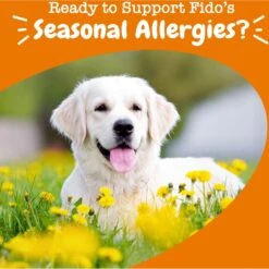 Zesty Paws Allergy & Immune Bites Peanut Butter Flavored Soft Chews Allergies, Immune, & Gut Support Supplement For Dogs -Zesty Paws 147751 PT4. AC SS1800 V1700859492