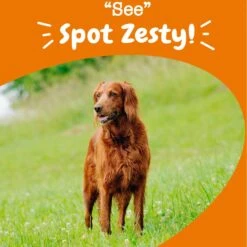 Zesty Paws Advanced Vision Bites Chicken Flavored Soft Chews Vision Supplement For Senior Dogs -Zesty Paws 154820 PT3. AC SS1800 V1703623563
