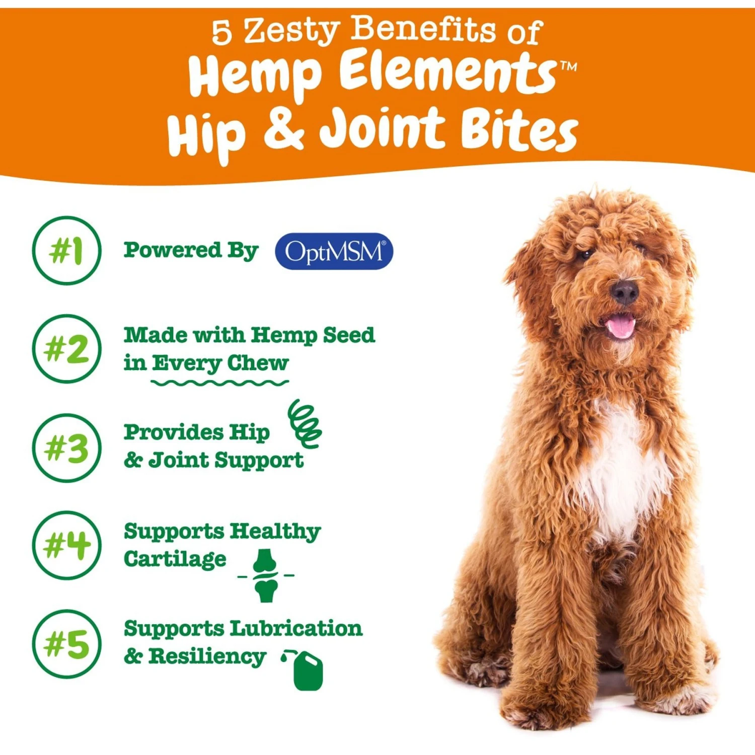 Zesty Paws Hemp Elements Mobility Bites Chicken Flavored Soft Chews Glucosamine Hip & Joint Supplement For Dogs 2 Zesty Paws Hemp Elements Mobility Bites Chicken Flavored Soft Chews Glucosamine Hip & Joint Supplement For Dogs - Image 2