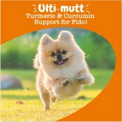 Zesty Paws Turmeric Curcumin Bites Bacon Flavored Soft Chews Multivitamin For Dogs -Zesty Paws 154830 PT3. AC SS1800 V1696441128