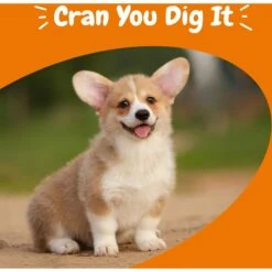 Zesty Paws Urinary Tract Bites Bacon Flavored Soft Chews Cranberry Bladder Kidney Supplement For Dogs -Zesty Paws 154832 PT4. AC SS1800 V1699634654