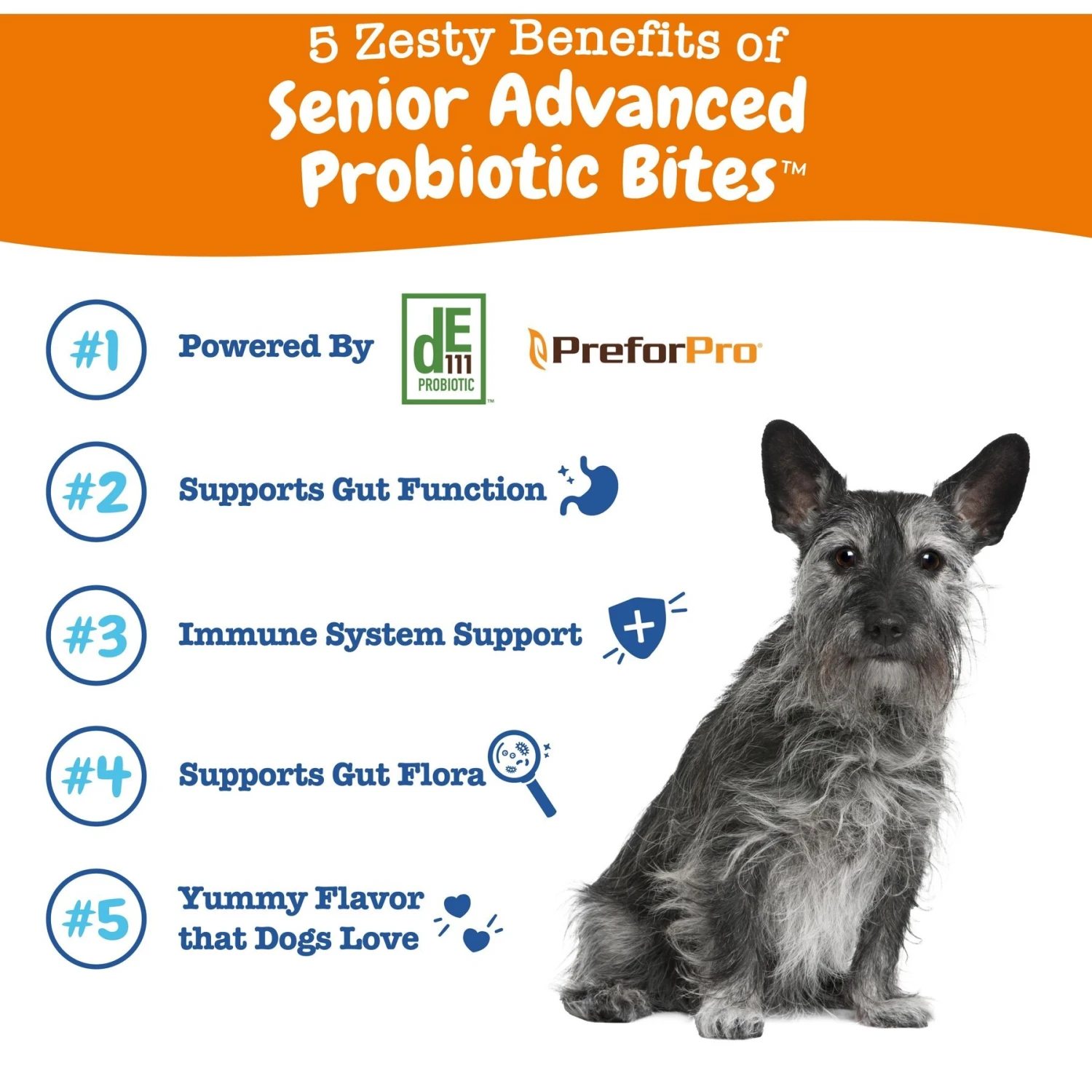 Zesty Paws Advanced Probiotic Bites Chicken Flavored Soft Chews Digestive Supplement For Senior Dogs 2 Zesty Paws Advanced Probiotic Bites Chicken Flavored Soft Chews Digestive Supplement For Senior Dogs - Image 2