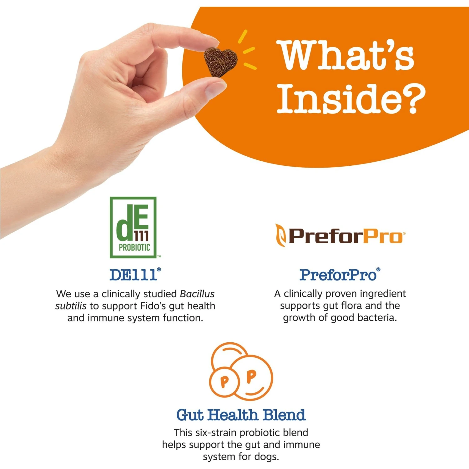 Zesty Paws Advanced Probiotic Bites Chicken Flavored Soft Chews Digestive Supplement For Senior Dogs 3 Zesty Paws Advanced Probiotic Bites Chicken Flavored Soft Chews Digestive Supplement For Senior Dogs - Image 3