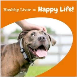 Zesty Paws Liver Support Bites Chicken Flavored Soft Chews Milk Thistle Supplement For Dogs -Zesty Paws 205855 PT3. AC SS1800 V1696601329