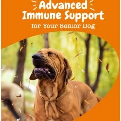 Zesty Paws Advanced Allergy & Immune Bites Salmon Flavored Soft Chews Allergies, Immune, & Skin Support Supplement For Senior Dogs -Zesty Paws 224444 PT4. AC SS1800 V1699634593