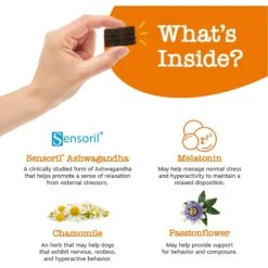 Zesty Paws Lil' Zesties Calming Squares Chicken Flavored Soft Chews Supplement For Dogs -Zesty Paws 249404 PT3. AC SS1800 V1696449759