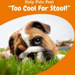 Zesty Paws Chew No Poo Chicken Flavored Dog Soft Chews Cophrophagia Digestive Supplement For Dogs -Zesty Paws 249409 PT3. AC SS1800 V1699634594