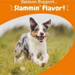 Zesty Paws Salmon Bites Bacon Flavored Soft Chews Skin & Coat Supplement For Dogs, 90 Count -Zesty Paws 249411 PT3. AC SS1800 V1703623932