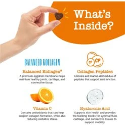 Zesty Paws Multi-Collagen Bites Chicken Flavored Soft Chews Multivitamin For Dogs -Zesty Paws 249413 PT2. AC SS1800 V1696953876