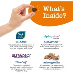 Zesty Paws Advanced Cognition Bites Chicken Flavored Soft Chews Brain & Nervous System Supplement For Senior Dogs -Zesty Paws 249415 PT2. AC SS1800 V1696540848