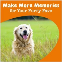 Zesty Paws Advanced Cognition Bites Chicken Flavored Soft Chews Brain & Nervous System Supplement For Senior Dogs -Zesty Paws 249415 PT3. AC SS1800 V1696601246