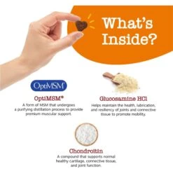 Zesty Paws Ancient Elements Mobility Bites Bison Flavored Soft Chews Hip & Joint Supplement For Dogs, 90 Count -Zesty Paws 249427 PT2. AC SS1800 V1700859374