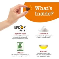 Zesty Paws Ancient Elements Aller-Immune Bites Bison Flavored Soft Chews Allergy & Immune Supplement For Dogs -Zesty Paws 249429 PT2. AC SS1800 V1696955114