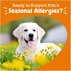 Zesty Paws Ancient Elements Aller-Immune Bites Bison Flavored Soft Chews Allergy & Immune Supplement For Dogs -Zesty Paws 249429 PT3. AC SS1800 V1696961126