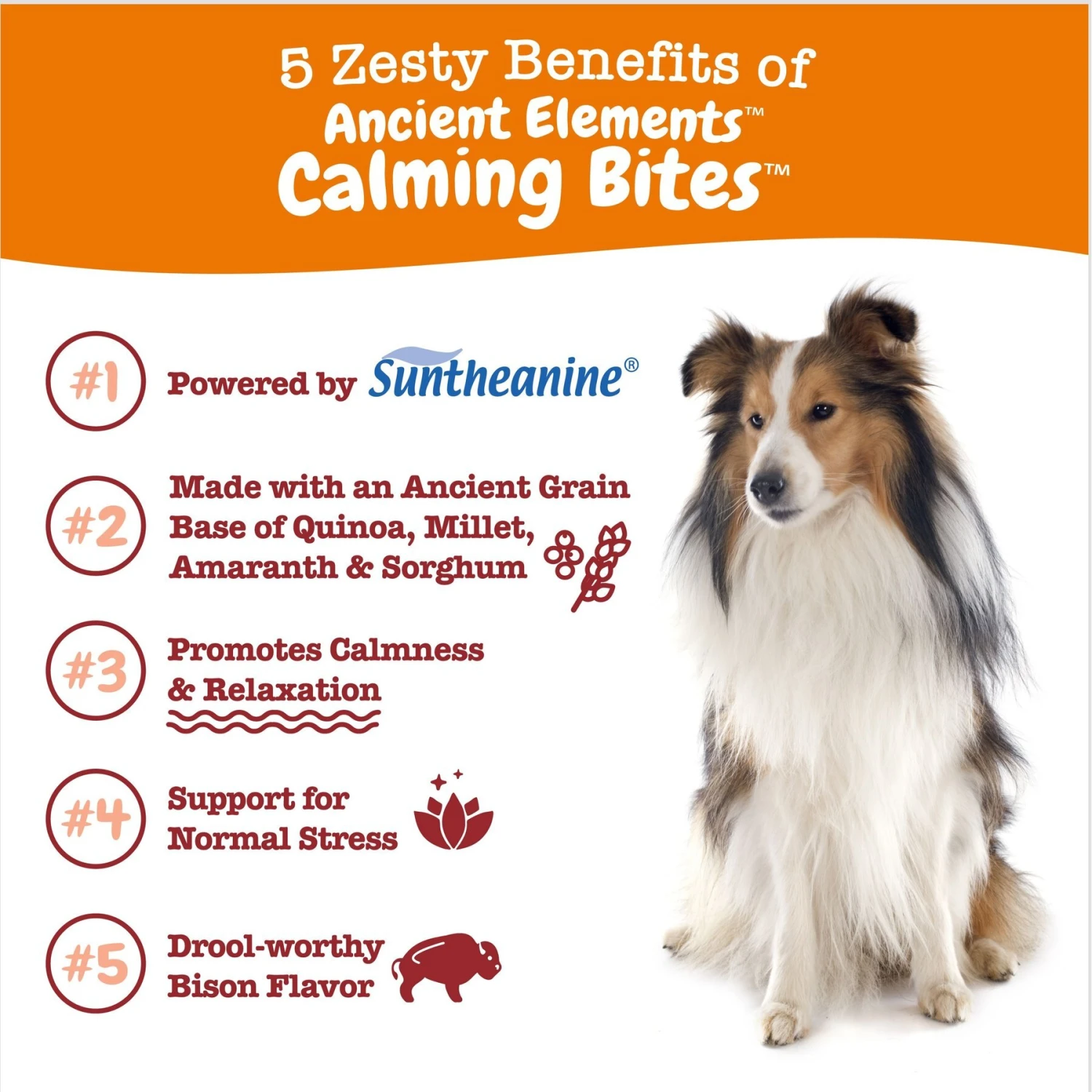 Zesty Paws Ancient Elements Hemp Calming Bites Bison Flavored Soft Chews Supplement For Dogs 2 Zesty Paws Ancient Elements Hemp Calming Bites Bison Flavored Soft Chews Supplement For Dogs - Image 2