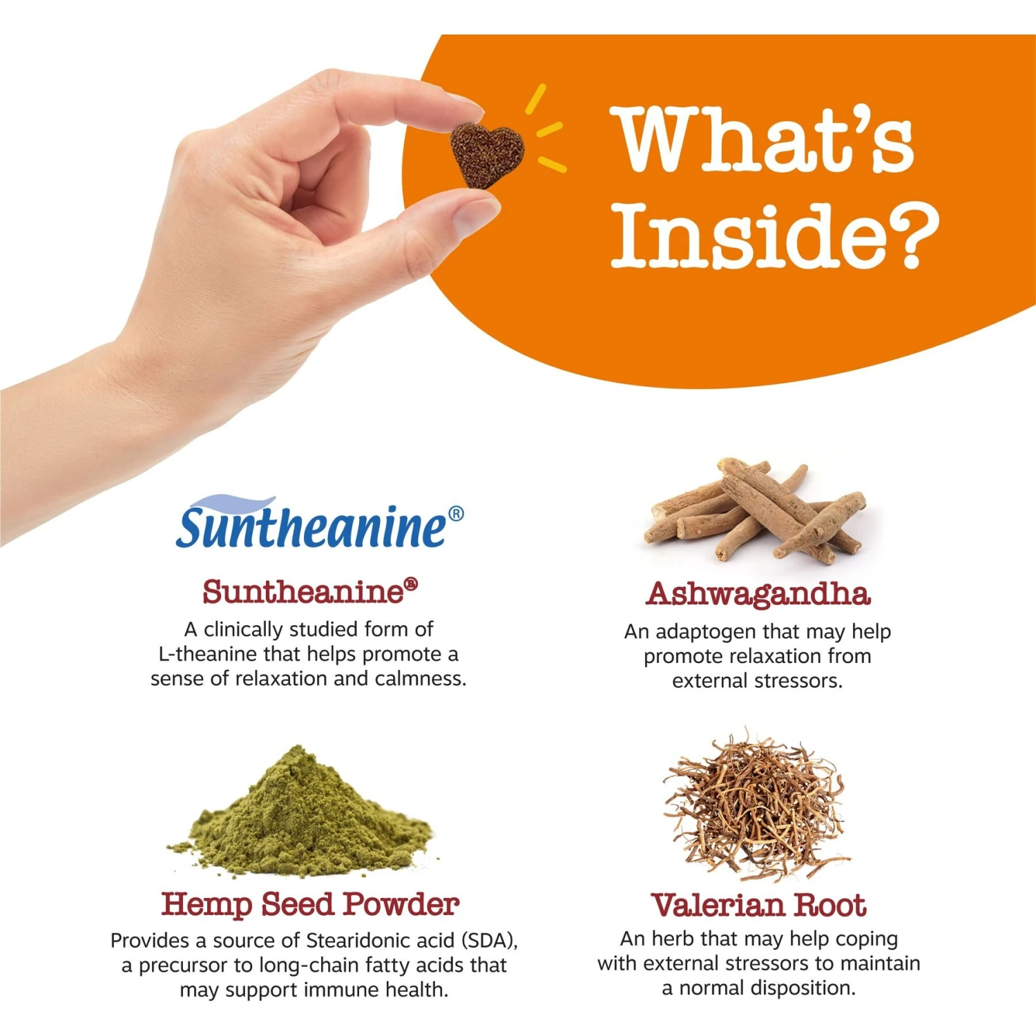 Zesty Paws Ancient Elements Hemp Calming Bites Bison Flavored Soft Chews Supplement For Dogs 3 Zesty Paws Ancient Elements Hemp Calming Bites Bison Flavored Soft Chews Supplement For Dogs - Image 3