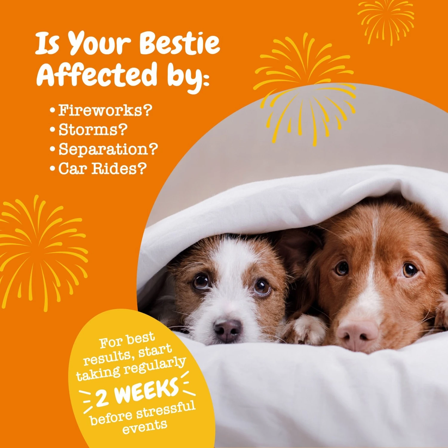 Zesty Paws Ancient Elements Hemp Calming Bites Bison Flavored Soft Chews Supplement For Dogs 4 Zesty Paws Ancient Elements Hemp Calming Bites Bison Flavored Soft Chews Supplement For Dogs - Image 4