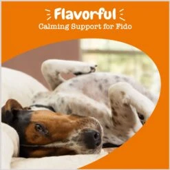 Zesty Paws Calming Flavor Infusions Fish Oil Chicken Flavored Liquid Topper Composure Supplement For Dogs -Zesty Paws 289511 PT3. AC SS1800 V1697032128