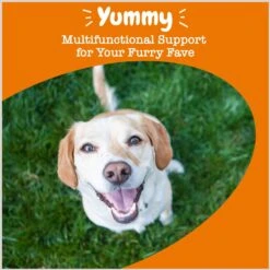 Zesty Paws 8-in-1 Flavor Infusions Fish Oil Chicken Flavored Liquid Topper Multivitamin For Dogs -Zesty Paws 289513 PT3. AC SS1800 V1696961127