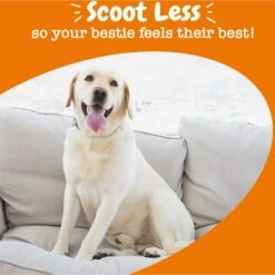 Zesty Paws Scoot Away Bites Chicken Flavored Soft Chews Digestive Supplement For Dogs -Zesty Paws 297472 PT3. AC SS1800 V1700681838