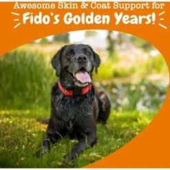 Zesty Paws Advanced Omega Bites Chicken Flavor Soft Chews Skin & Coat Supplement For Senior Dogs -Zesty Paws 332501 PT3. AC SS1800 V1698787418