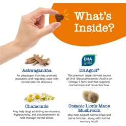 Zesty Paws Senior Advanced Calming + Cognition Bites Chicken Flavor Soft Chews Composure Supplement For Dogs -Zesty Paws 333707 PT2. AC SS1800 V1696955168