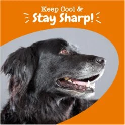 Zesty Paws Senior Advanced Calming + Cognition Bites Chicken Flavor Soft Chews Composure Supplement For Dogs -Zesty Paws 333707 PT3. AC SS1800 V1696961190