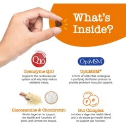 Zesty Paws 8-in-1 Mini Bites Chicken Flavored Soft Chews Multivitamin Supplement For Small Dogs -Zesty Paws 346012 PT2. AC SS1800 V1700681790