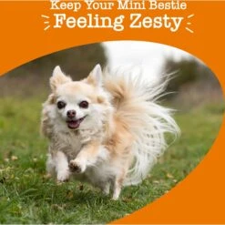 Zesty Paws 8-in-1 Mini Bites Chicken Flavored Soft Chews Multivitamin Supplement For Small Dogs -Zesty Paws 346012 PT3. AC SS1800 V1700681784