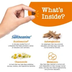 Zesty Paws Advanced Hemp Calming Mini Bites Turkey Flavored Soft Chew Composure Supplement For Small Dogs -Zesty Paws 346014 PT2. AC SS1800 V1703623870