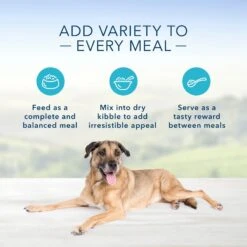 Zesty Paws Advanced Mobility Bites Chicken Flavored Soft Chews Glucosamine Hip & Joint Supplement For Senior Dogs & Blue Buffalo Homestyle Recipe Senior Chicken Dinner With Garden Vegetables Canned Dog Food -Zesty Paws 365441 PT4. AC SS1800 V1703799084
