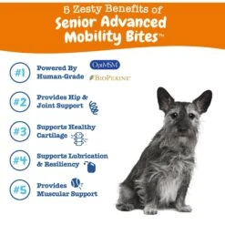 Zesty Paws Advanced Mobility Bites Chicken Flavored Soft Chews Glucosamine Hip & Joint Supplement For Senior Dogs & Zesty Paws Hemp Elements Mobility OraStix Peppermint Flavored Dog Dental Chews -Zesty Paws 365485 PT8. AC SS1800 V1703799160