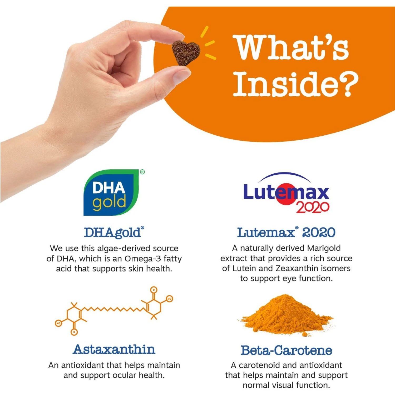 Zesty Paws Advanced Vision Bites Chicken Flavored Soft Chews Vision Supplement For Senior Dogs & Zesty Paws Advanced Mobility Bites Chicken Flavored Soft Chews Glucosamine Hip & Joint Supplement For Senior Dogs 4 Zesty Paws Advanced Vision Bites Chicken Flavored Soft Chews Vision Supplement For Senior Dogs & Zesty Paws Advanced Mobility Bites Chicken Flavored Soft Chews Glucosamine Hip & Joint Supplement For Senior Dogs - Image 4