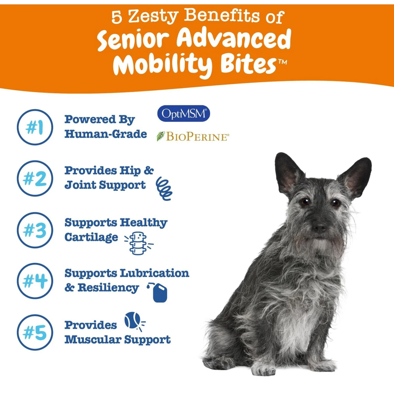 Zesty Paws Advanced Vision Bites Chicken Flavored Soft Chews Vision Supplement For Senior Dogs & Zesty Paws Advanced Mobility Bites Chicken Flavored Soft Chews Glucosamine Hip & Joint Supplement For Senior Dogs 9 Zesty Paws Advanced Vision Bites Chicken Flavored Soft Chews Vision Supplement For Senior Dogs & Zesty Paws Advanced Mobility Bites Chicken Flavored Soft Chews Glucosamine Hip & Joint Supplement For Senior Dogs - Image 9