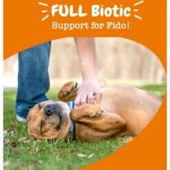 Zesty Paws Vet Strength Pre, Post, & Probiotic Soft Chews Gut Flora & Digestive Supplement For Dogs -Zesty Paws 373282 PT3. AC SS1800 V1699634592