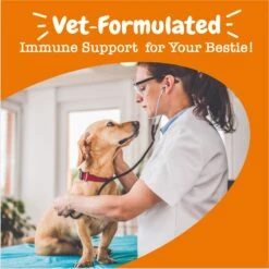Zesty Paws Vet Strength Allergy & Immune Bites Soft Chews Fish Oil Supplement For Dogs -Zesty Paws 373284 PT3. AC SS1800 V1696961126
