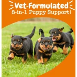 Zesty Paws Puppy 8-in-1 Chicken Flavor Soft Chews Multivitamin Supplement For Dogs -Zesty Paws 536974 PT4. AC SS1800 V1699024047
