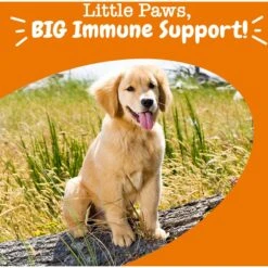 Zesty Paws Puppy Allergy & Immune Bites Lamb Flavor Soft Chews Allergies, Immune, & Gut Support Supplement For Dogs, 90 Count 12 Zesty Paws Puppy Allergy & Immune Bites Lamb Flavor Soft Chews Allergies, Immune, & Gut Support Supplement For Dogs, 90 Count -Zesty Paws 536990 PT3. AC SS1800 V1703623564