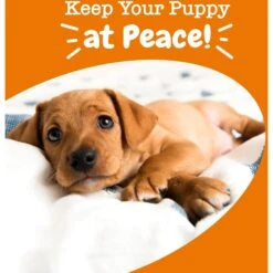 Zesty Paws Puppy Calming Bites Behavior Turkey Flavor Soft Chews Supplement For Dogs -Zesty Paws 537006 PT4. AC SS1800 V1699024048